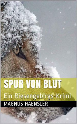 [Aaron Niederkircher 03] • Spur von Blut